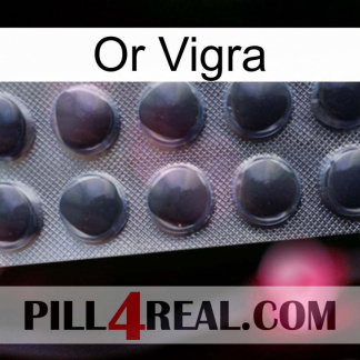 Gold Vigra 30